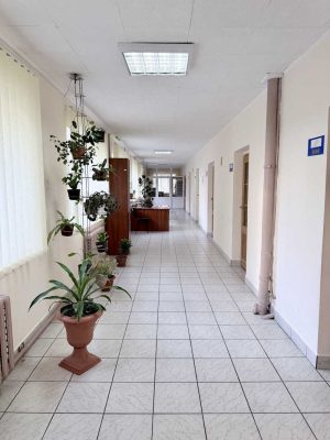 IMG_5933